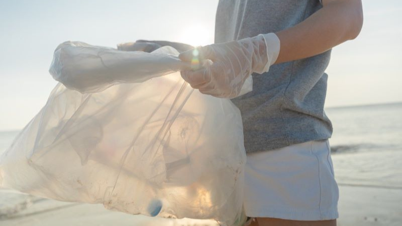 beach clean Beach plastic cleaning