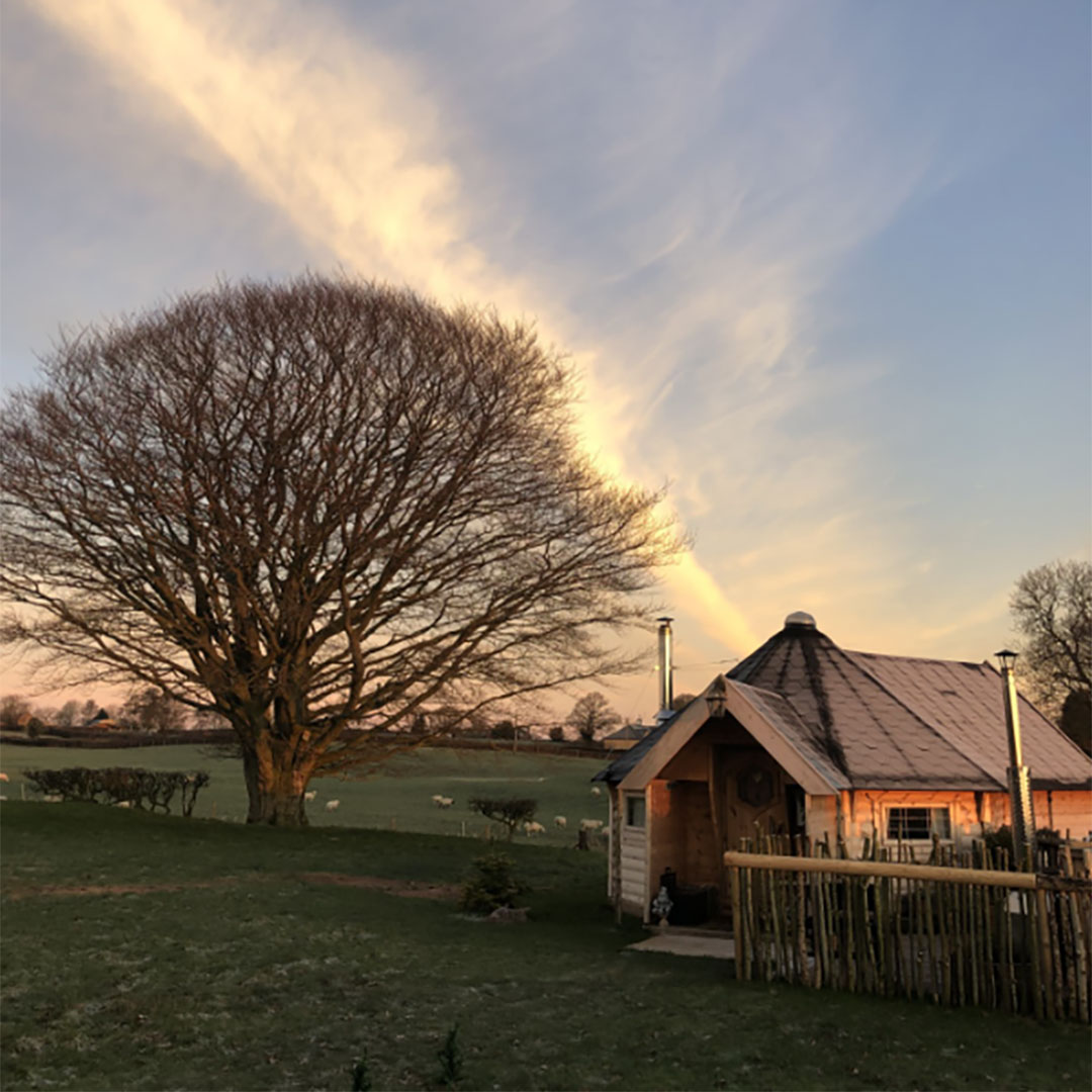 copper-beech-glamping-3